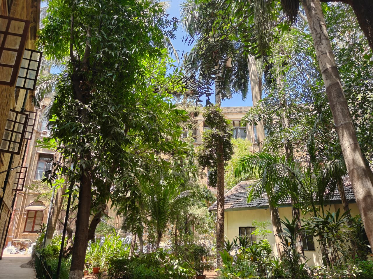 Botanical Garden at the Institute of Science, Mumbai