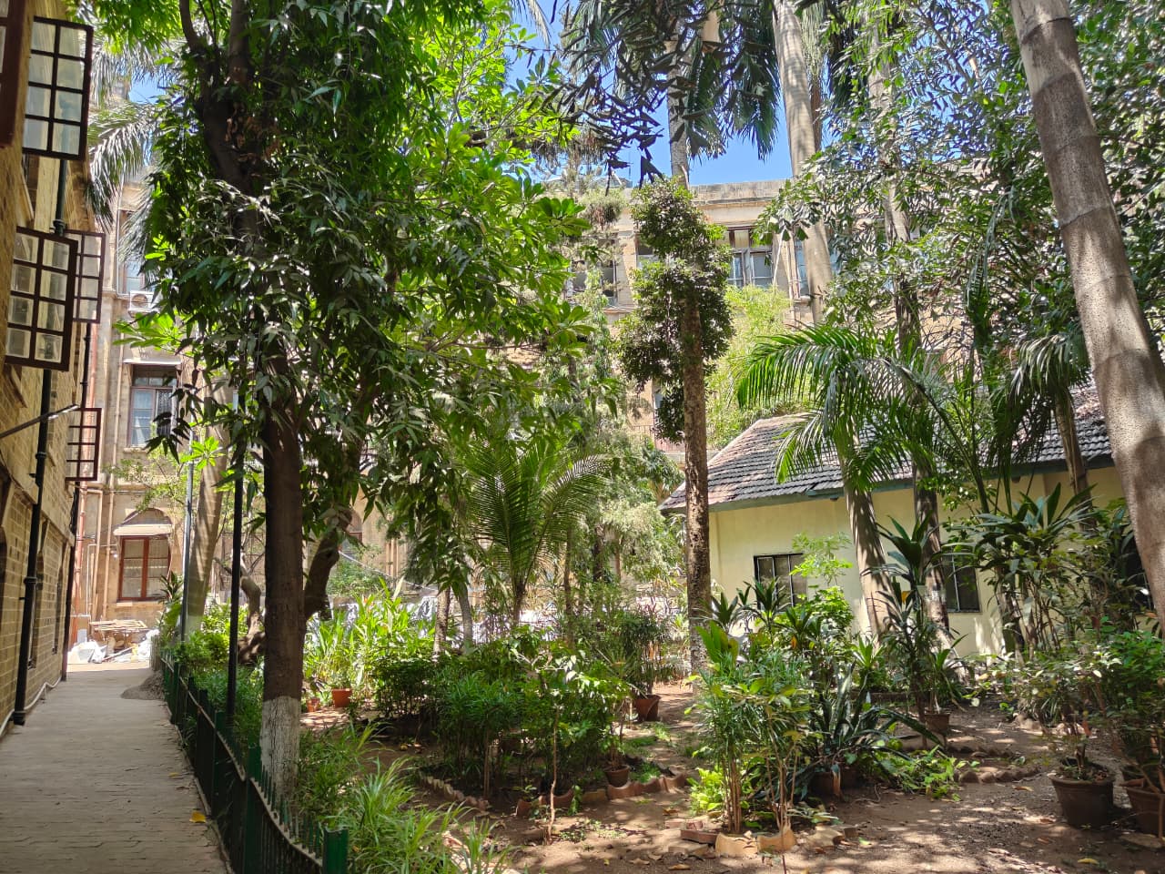 Botanical Garden plant collection at the Institute campus