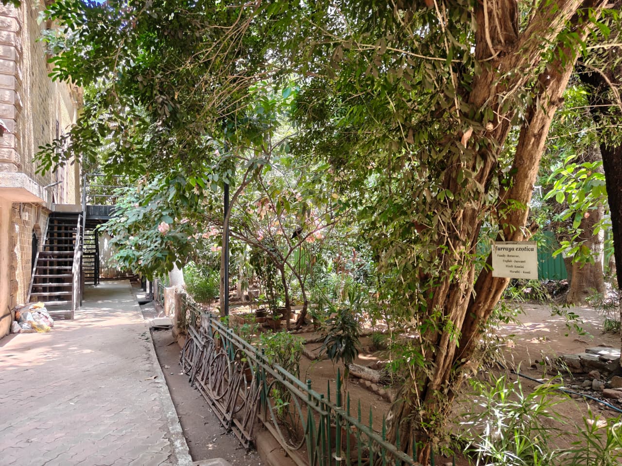 Botanical Garden biodiversity zone at the Institute of Science, Mumbai