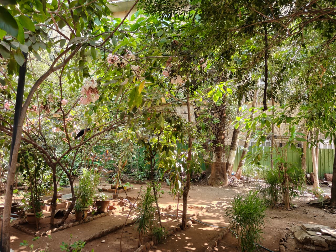Garden section with mature trees at the Institute campus