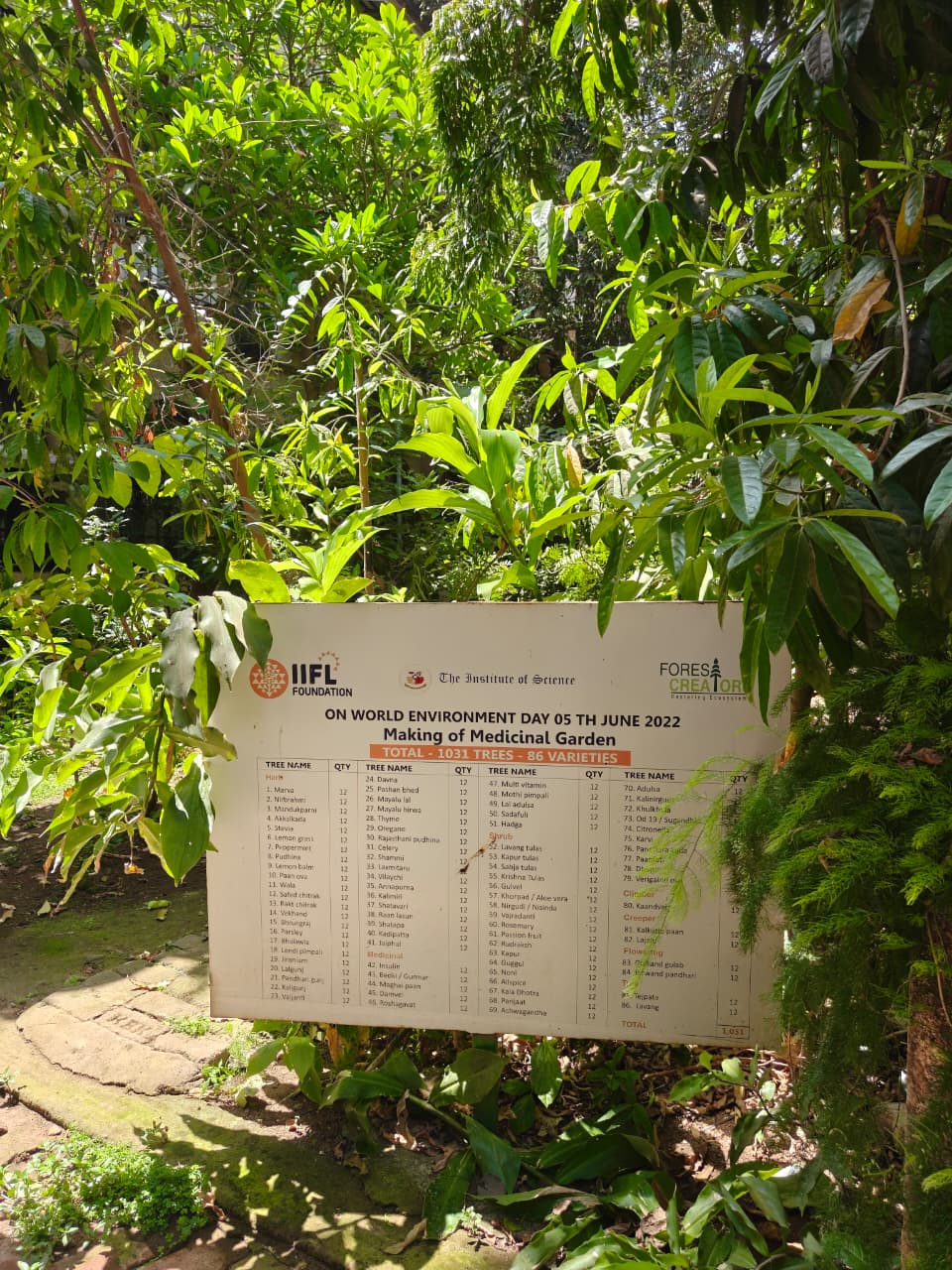 Botanical Garden walking path and vegetation at the Institute campus